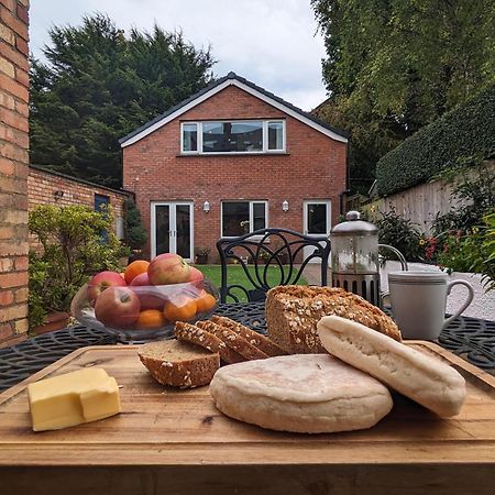 Bt 9 Granny Flat & Walled Garden Belfast Ngoại thất bức ảnh
