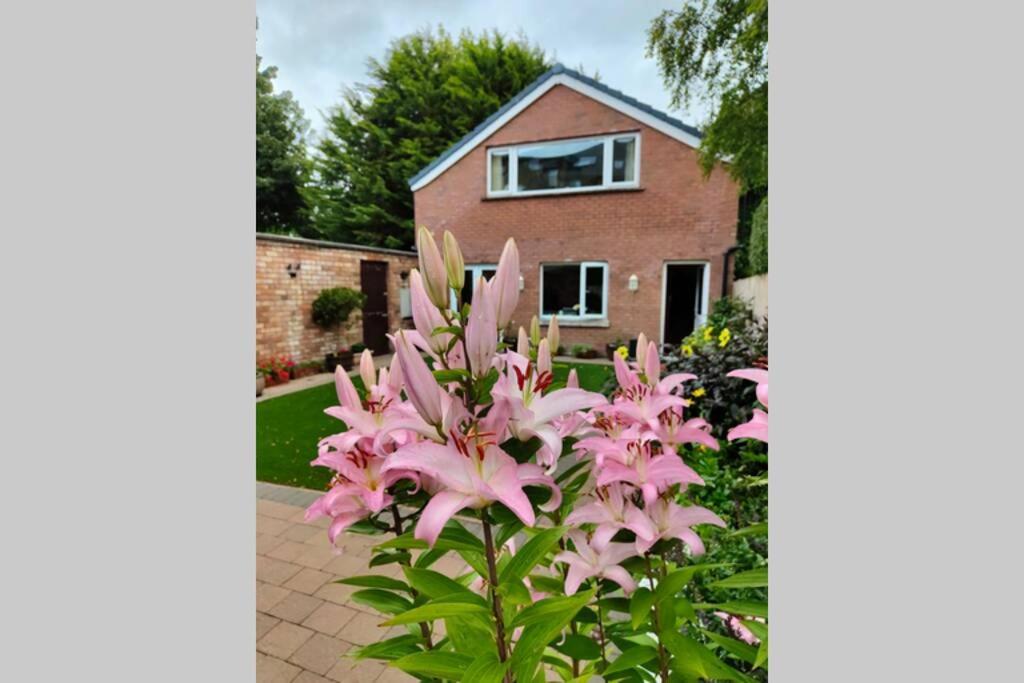 Bt 9 Granny Flat & Walled Garden Belfast Ngoại thất bức ảnh