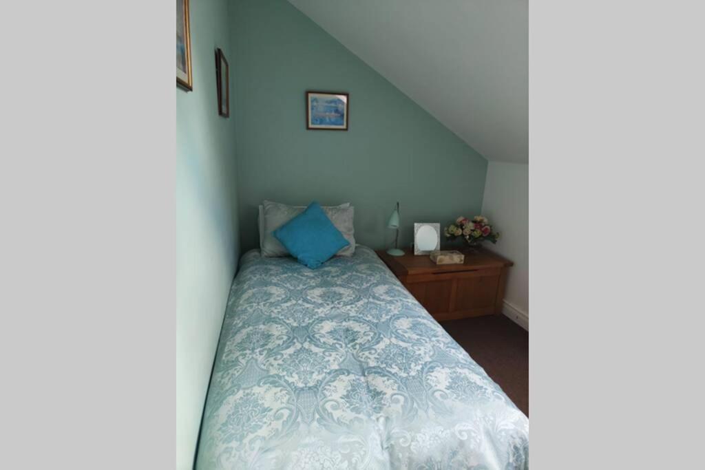 Bt 9 Granny Flat & Walled Garden Belfast Ngoại thất bức ảnh