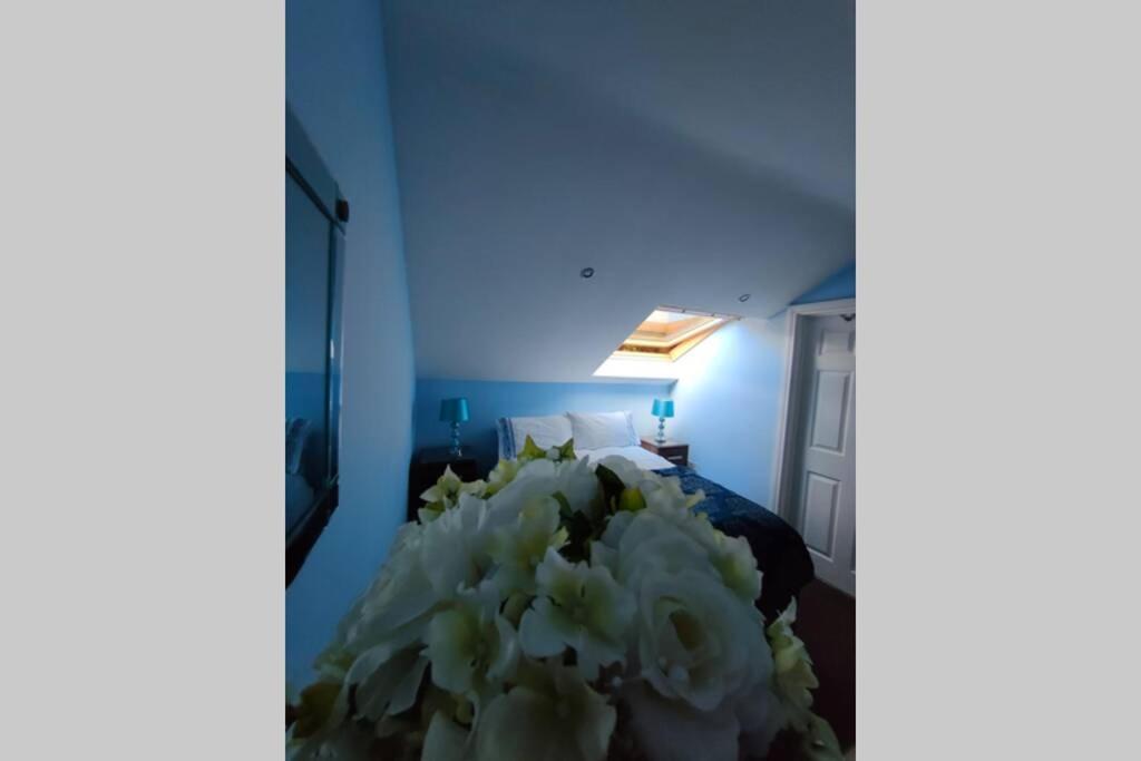 Bt 9 Granny Flat & Walled Garden Belfast Ngoại thất bức ảnh