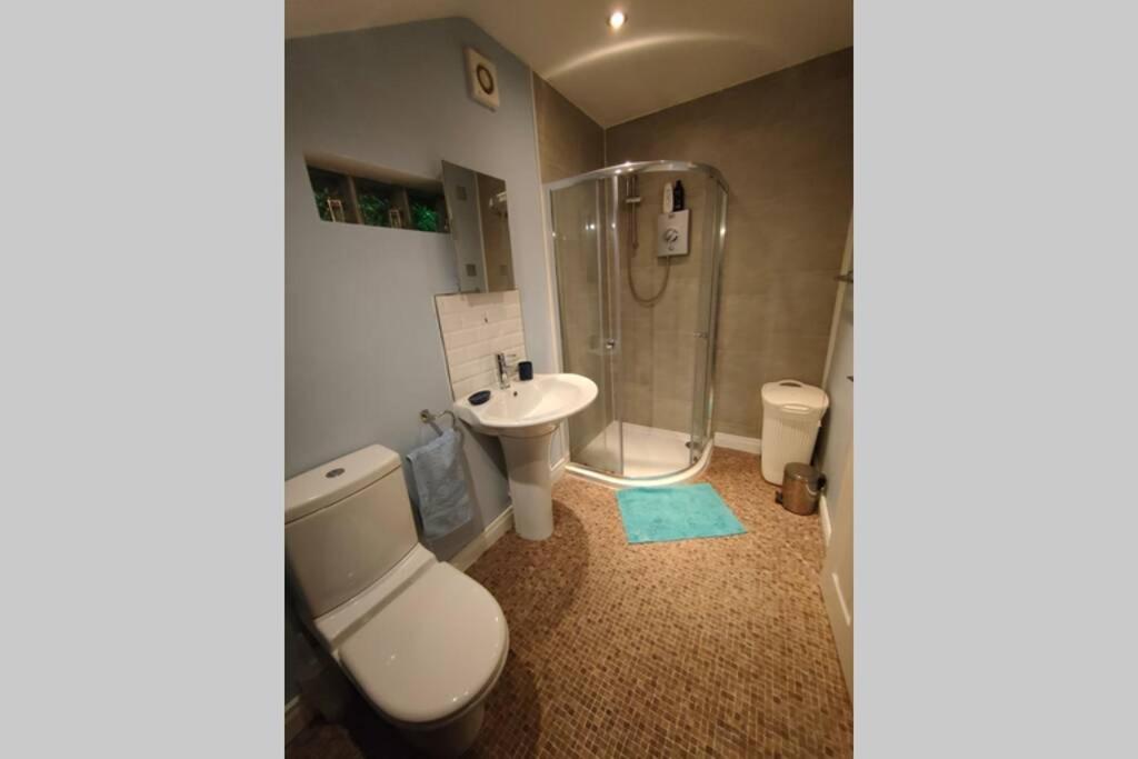 Bt 9 Granny Flat & Walled Garden Belfast Ngoại thất bức ảnh
