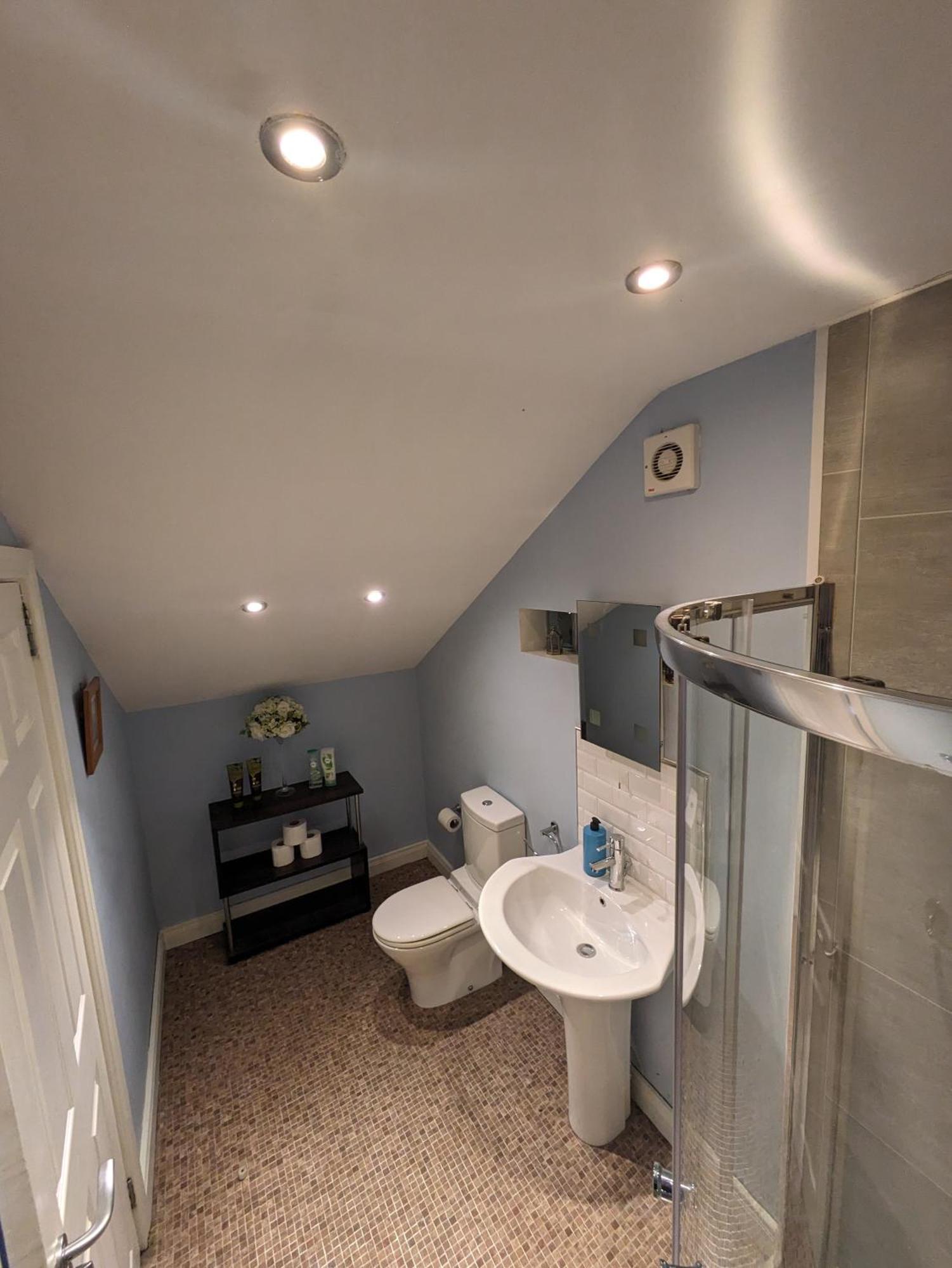 Bt 9 Granny Flat & Walled Garden Belfast Ngoại thất bức ảnh